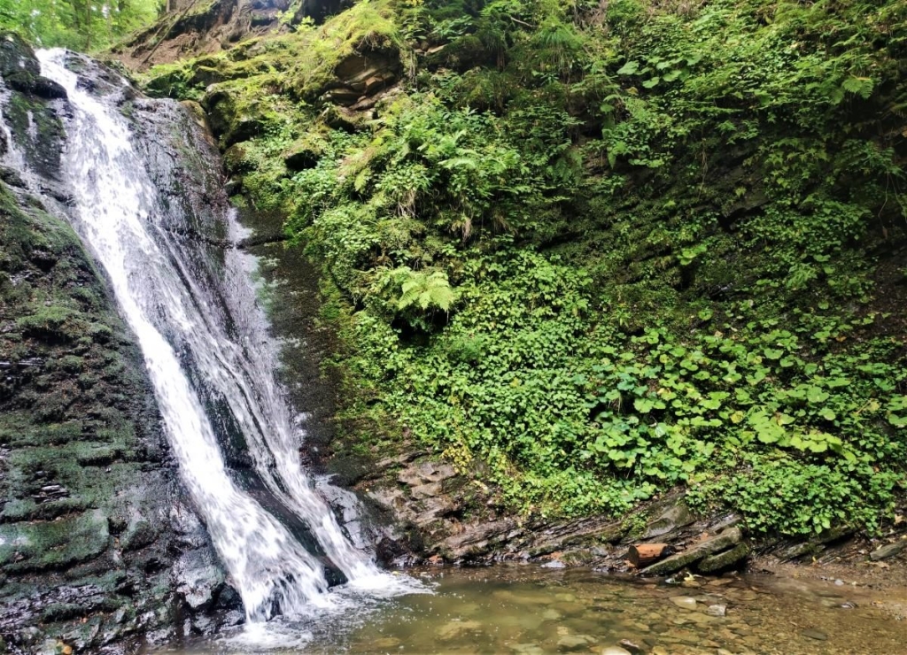 Гори, релакс і дерев'яні церкви: чим дивує український курорт Східниця 37 Гори, релакс і дерев'яні церкви: чим дивує український курорт Східниця