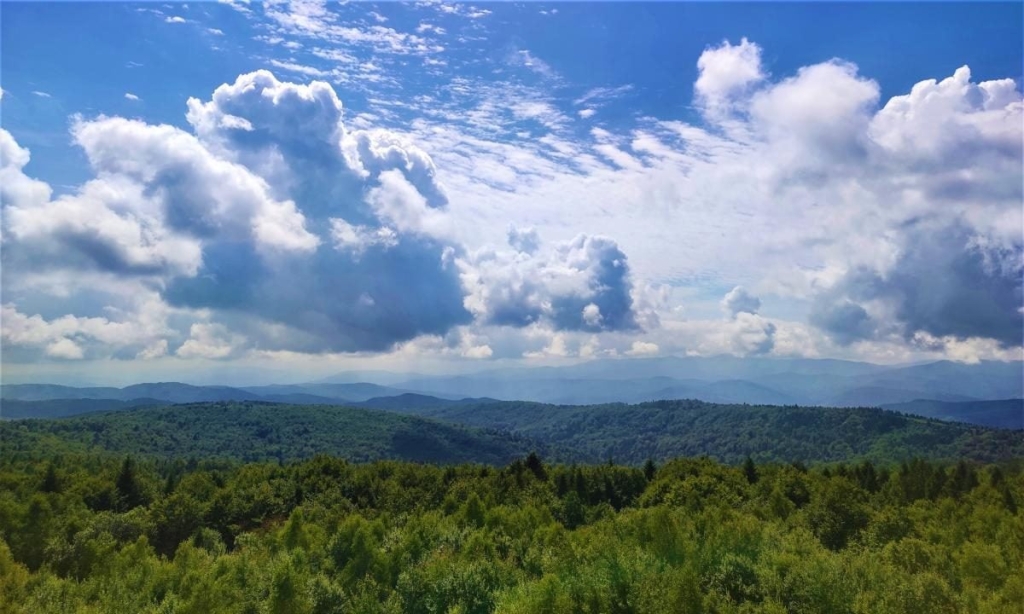 Гори, релакс і дерев'яні церкви: чим дивує український курорт Східниця 26 Гори, релакс і дерев'яні церкви: чим дивує український курорт Східниця