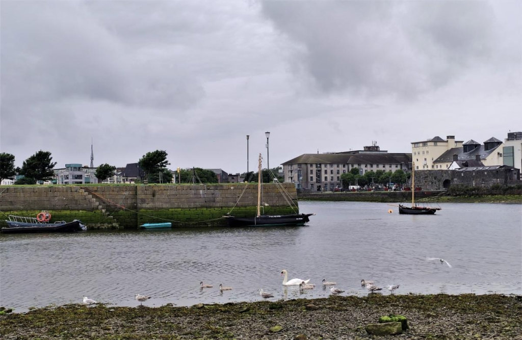 Ірландський Голвей: яскрава альтернатива переповненому туристами Дубліну 24 Лебеді в голвейських доках / фото Марина Григоренко