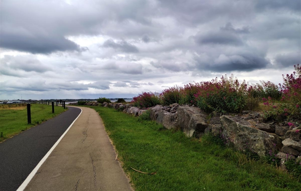 Ірландський Голвей: яскрава альтернатива переповненому туристами Дубліну 30 South Park в Голвеї / фото Марина Григоренко