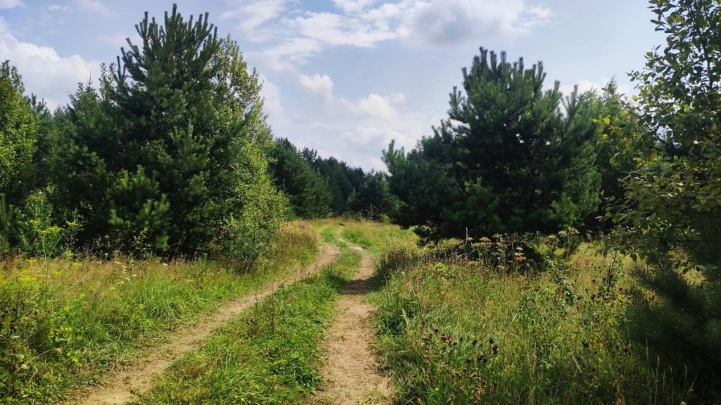 Ямельницькі скелі: блукаючи непрохідними стежками УПА 14 Ямельницькі скелі: блукаючи непрохідними стежками УПА