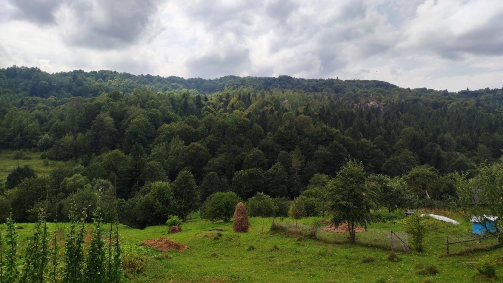 Ямельницькі скелі: блукаючи непрохідними стежками УПА 2 Ямельницькі краєвиди (десь там видніються скелі) / фото Марина Григоренко