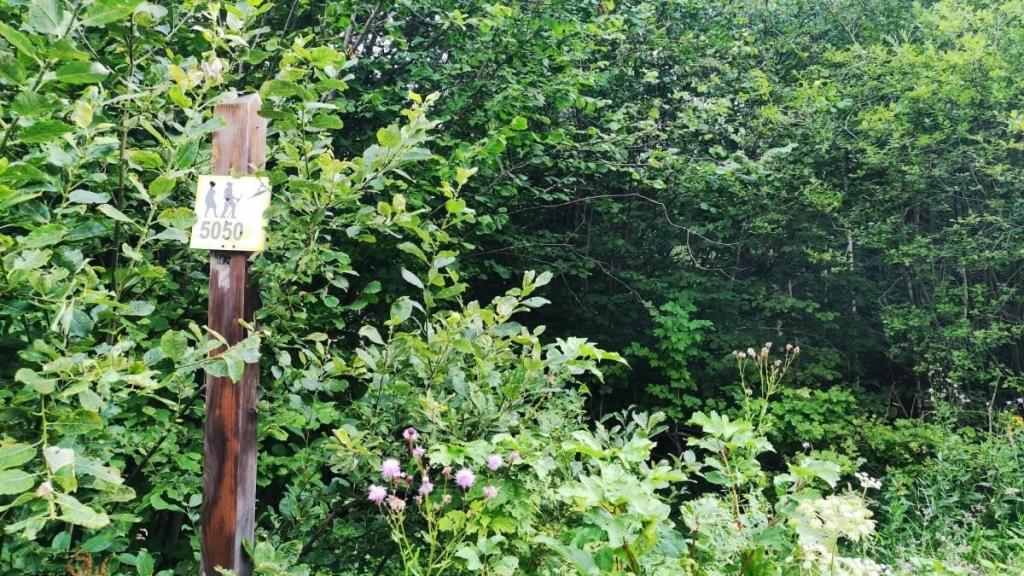 Ямельницькі скелі: блукаючи непрохідними стежками УПА 13 Ямельницькі скелі: блукаючи непрохідними стежками УПА