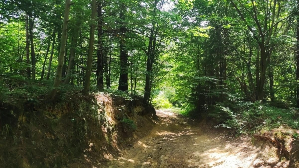 Ямельницькі скелі: блукаючи непрохідними стежками УПА 15 Ямельницькі скелі: блукаючи непрохідними стежками УПА