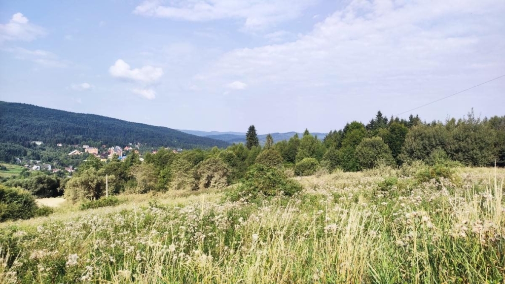 Ямельницькі скелі: блукаючи непрохідними стежками УПА 8 Ямельницькі скелі: блукаючи непрохідними стежками УПА