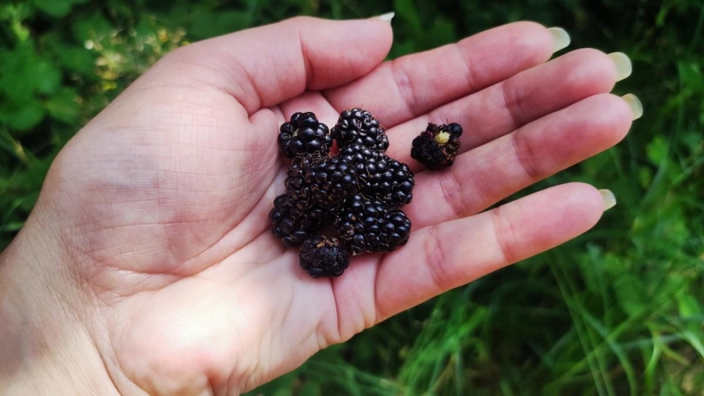 Ямельницькі скелі: блукаючи непрохідними стежками УПА 16 Ямельницькі скелі: блукаючи непрохідними стежками УПА