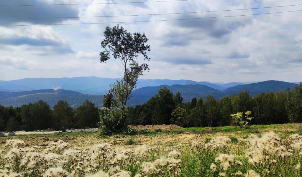 Ямельницькі скелі: блукаючи непрохідними стежками УПА 24 Але ж краєвиди на шляху зі Східниці до Ямельниці неймовірні / фото Марина Григоренко