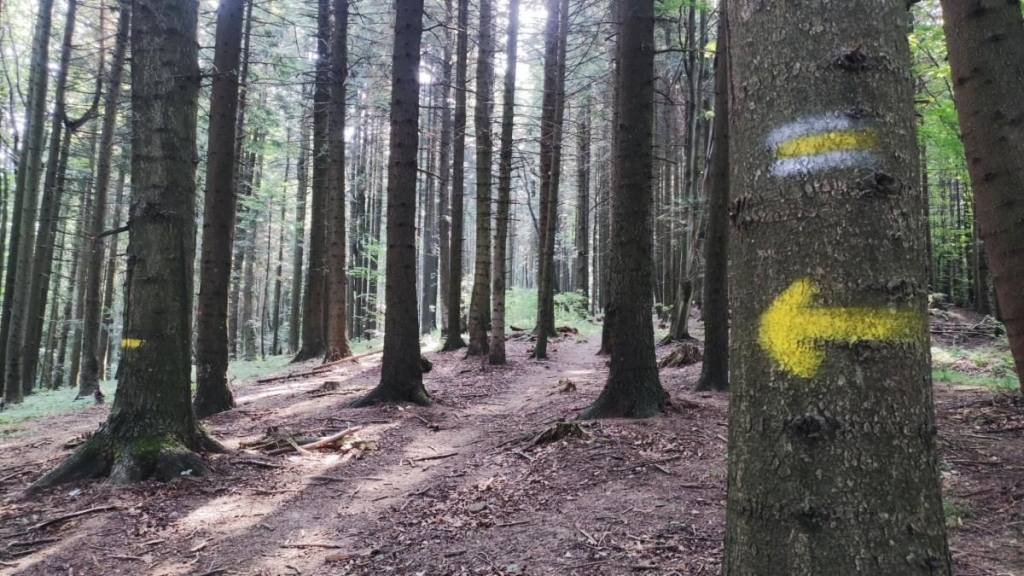 Ямельницькі скелі: блукаючи непрохідними стежками УПА 9 Ямельницькі скелі: блукаючи непрохідними стежками УПА