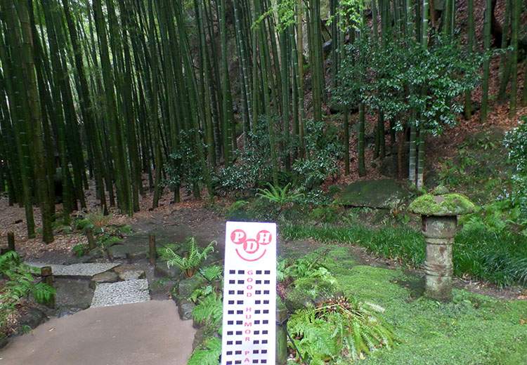 Будда в саду Вигляд на Великого Будду в Камакурі серед зелених дерев Японії