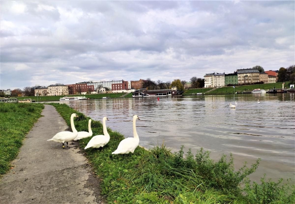 Краків як авіаційні ворота для українців: зручність плюс краса 11 Краків як авіаційні ворота для українців: зручність плюс краса