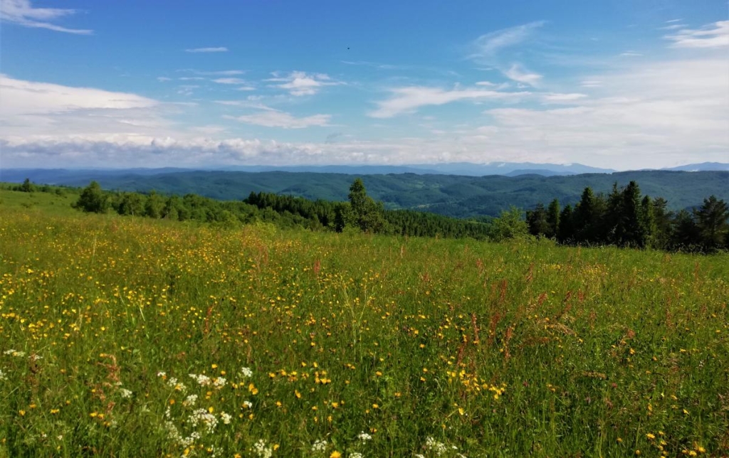 Львівщина для активних туристів: ідеї для піших походів у гори – Тустань, Східниця, Орів 100 Пейзажі з вершини Орівського хребта / фото Марина Григоренко