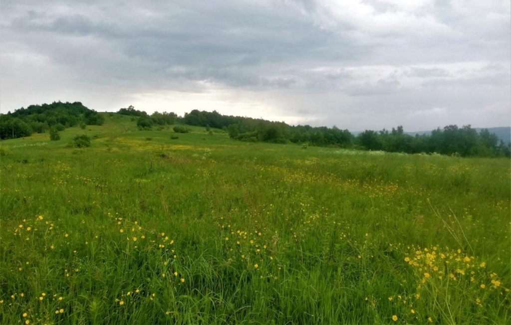 Львівщина для активних туристів: ідеї для піших походів у гори – Тустань, Східниця, Орів 77 Львівщина для активних туристів: ідеї для піших походів у гори – Тустань, Східниця, Орів