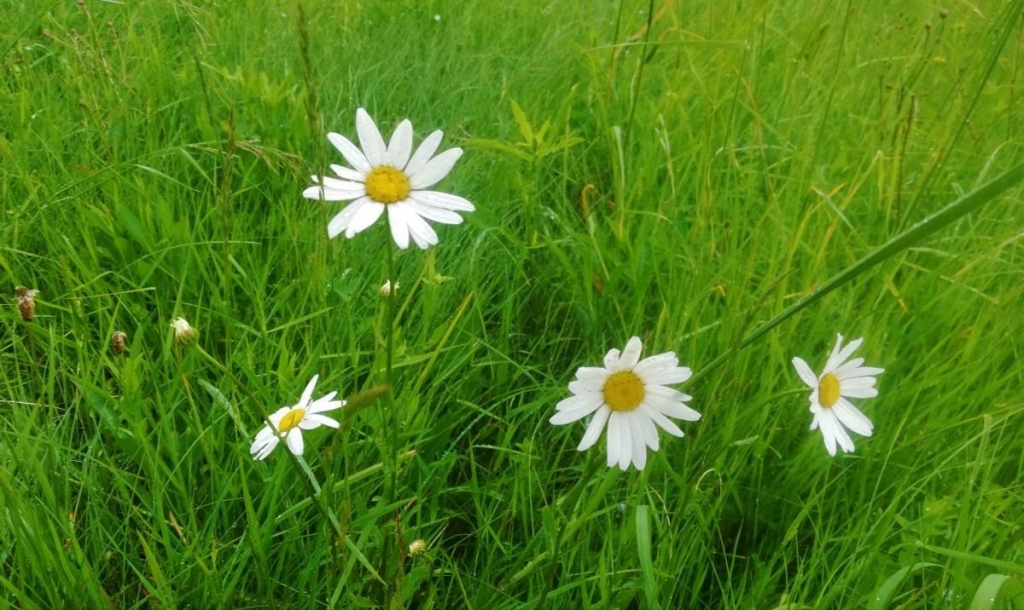 Львівщина для активних туристів: ідеї для піших походів у гори – Тустань, Східниця, Орів 108 Львівщина для активних туристів: ідеї для піших походів у гори – Тустань, Східниця, Орів