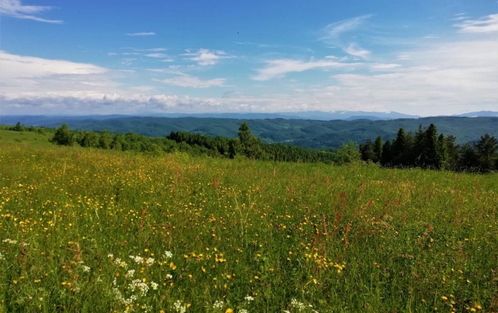 Львівщина для активних туристів: ідеї для піших походів у гори – Тустань, Східниця, Орів 88 Львівщина для активних туристів: ідеї для піших походів у гори – Тустань, Східниця, Орів