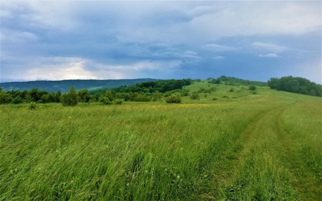 Львівщина для активних туристів: ідеї для піших походів у гори – Тустань, Східниця, Орів 80 Львівщина для активних туристів: ідеї для піших походів у гори – Тустань, Східниця, Орів