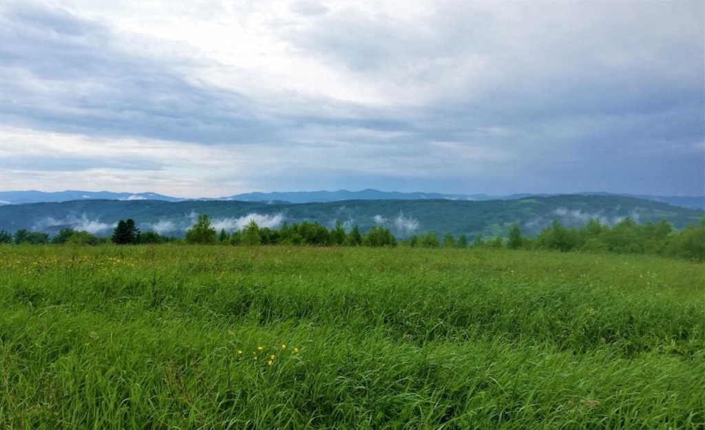 Львівщина для активних туристів: ідеї для піших походів у гори – Тустань, Східниця, Орів 82 Львівщина для активних туристів: ідеї для піших походів у гори – Тустань, Східниця, Орів