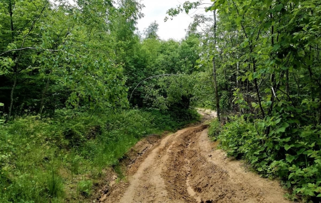 Львівщина для активних туристів: ідеї для піших походів у гори – Тустань, Східниця, Орів 50 Львівщина для активних туристів: ідеї для піших походів у гори – Тустань, Східниця, Орів