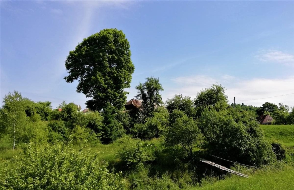 Львівщина для активних туристів: ідеї для піших походів у гори – Тустань, Східниця, Орів 32 Львівщина для активних туристів: ідеї для піших походів у гори – Тустань, Східниця, Орів