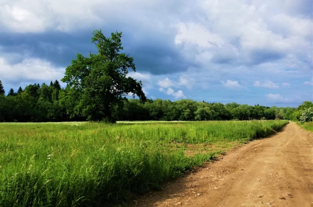 Львівщина для активних туристів: ідеї для піших походів у гори – Тустань, Східниця, Орів 98 Львівщина для активних туристів: ідеї для піших походів у гори – Тустань, Східниця, Орів