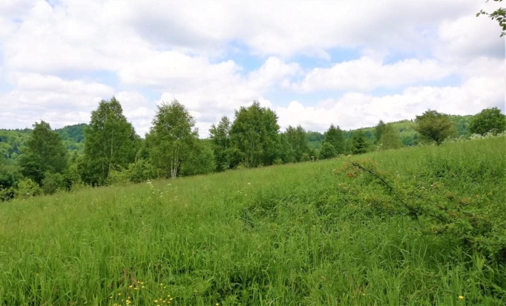 Львівщина для активних туристів: ідеї для піших походів у гори – Тустань, Східниця, Орів 52 Львівщина для активних туристів: ідеї для піших походів у гори – Тустань, Східниця, Орів