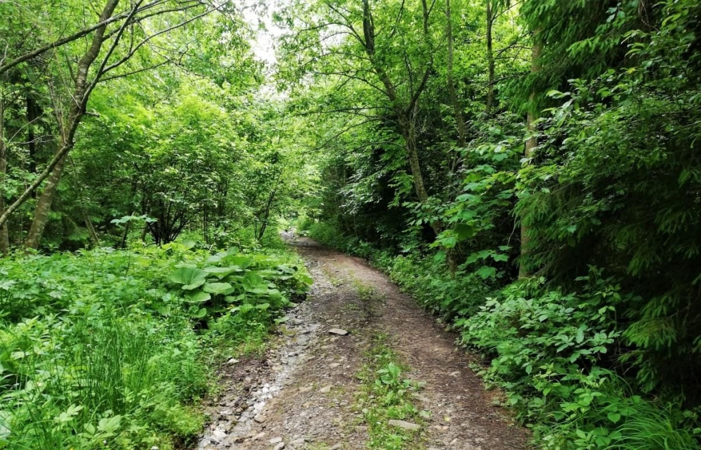 Львівщина для активних туристів: ідеї для піших походів у гори – Тустань, Східниця, Орів 60 Львівщина для активних туристів: ідеї для піших походів у гори – Тустань, Східниця, Орів