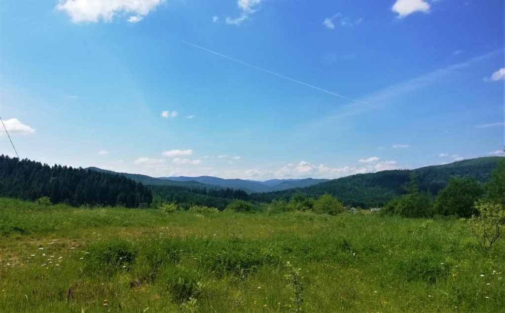 Львівщина для активних туристів: ідеї для піших походів у гори – Тустань, Східниця, Орів 36 Львівщина для активних туристів: ідеї для піших походів у гори – Тустань, Східниця, Орів