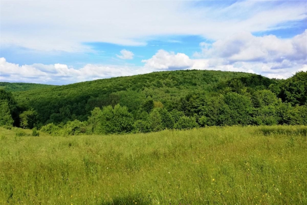 Львівщина для активних туристів: ідеї для піших походів у гори – Тустань, Східниця, Орів 95 Львівщина для активних туристів: ідеї для піших походів у гори – Тустань, Східниця, Орів