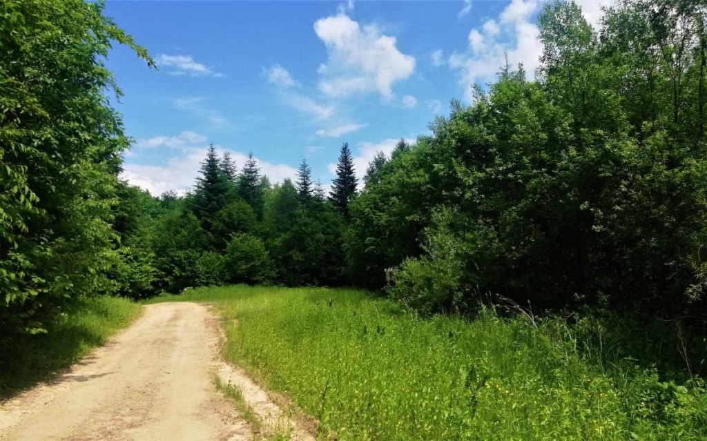 Львівщина для активних туристів: ідеї для піших походів у гори – Тустань, Східниця, Орів 72 Львівщина для активних туристів: ідеї для піших походів у гори – Тустань, Східниця, Орів