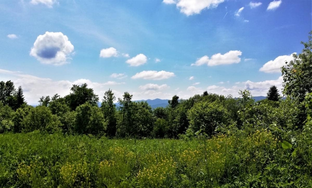 Львівщина для активних туристів: ідеї для піших походів у гори – Тустань, Східниця, Орів 43 Львівщина для активних туристів: ідеї для піших походів у гори – Тустань, Східниця, Орів