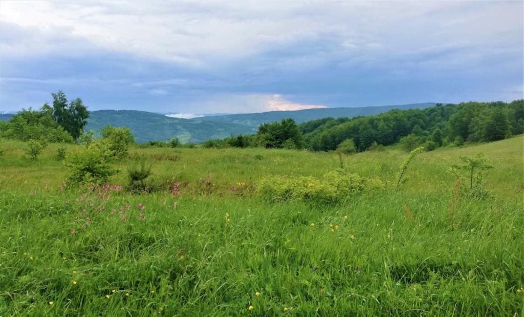 Львівщина для активних туристів: ідеї для піших походів у гори – Тустань, Східниця, Орів 84 Львівщина для активних туристів: ідеї для піших походів у гори – Тустань, Східниця, Орів