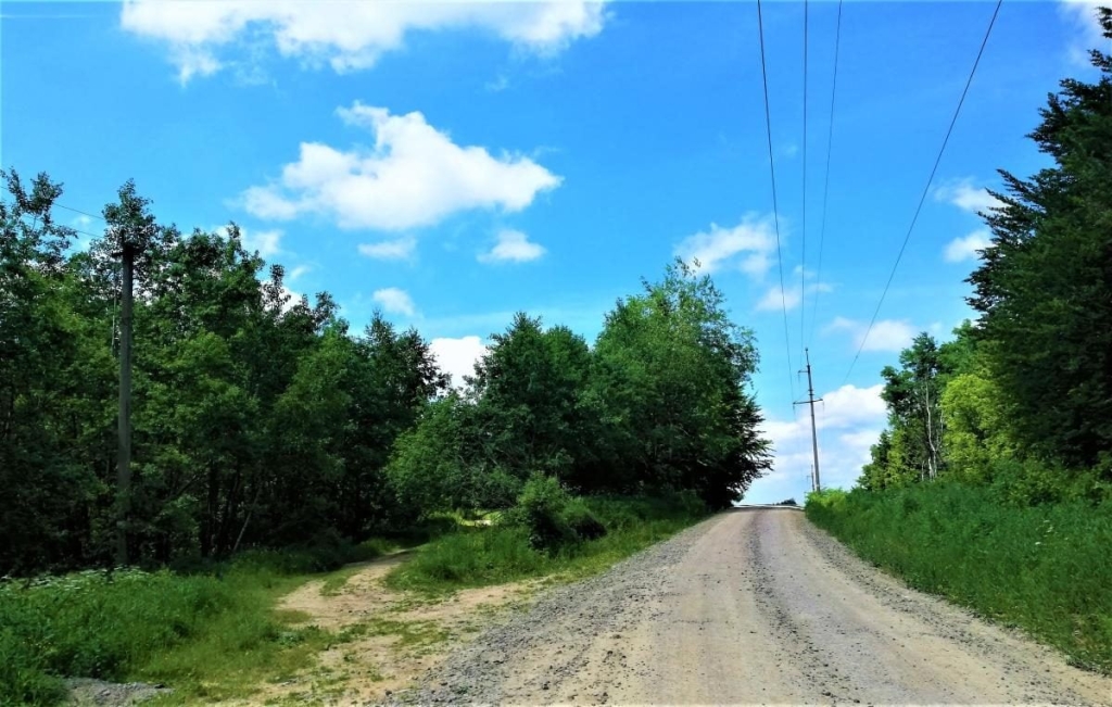Львівщина для активних туристів: ідеї для піших походів у гори – Тустань, Східниця, Орів 47 Львівщина для активних туристів: ідеї для піших походів у гори – Тустань, Східниця, Орів