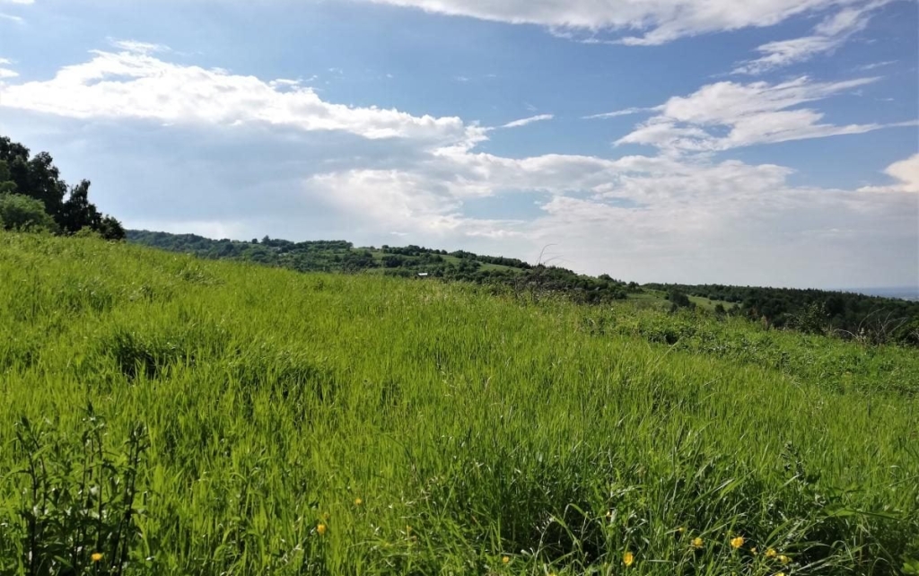 Львівщина для активних туристів: ідеї для піших походів у гори – Тустань, Східниця, Орів 93 Львівщина для активних туристів: ідеї для піших походів у гори – Тустань, Східниця, Орів