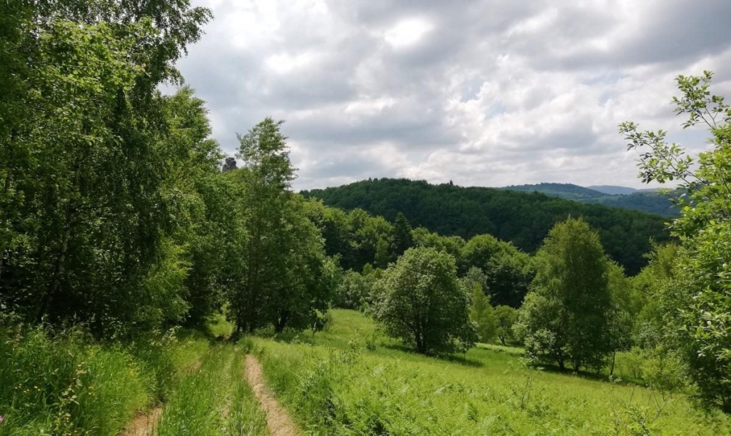 Львівщина для активних туристів: ідеї для піших походів у гори – Тустань, Східниця, Орів 54 Львівщина для активних туристів: ідеї для піших походів у гори – Тустань, Східниця, Орів