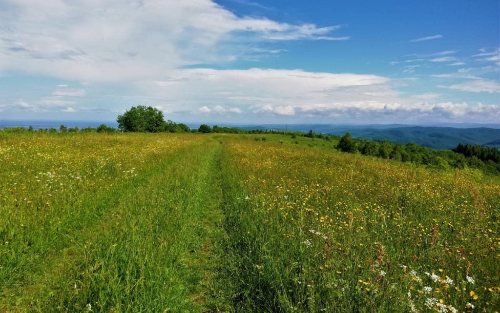 Львівщина для активних туристів: ідеї для піших походів у гори – Тустань, Східниця, Орів 87 Львівщина для активних туристів: ідеї для піших походів у гори – Тустань, Східниця, Орів