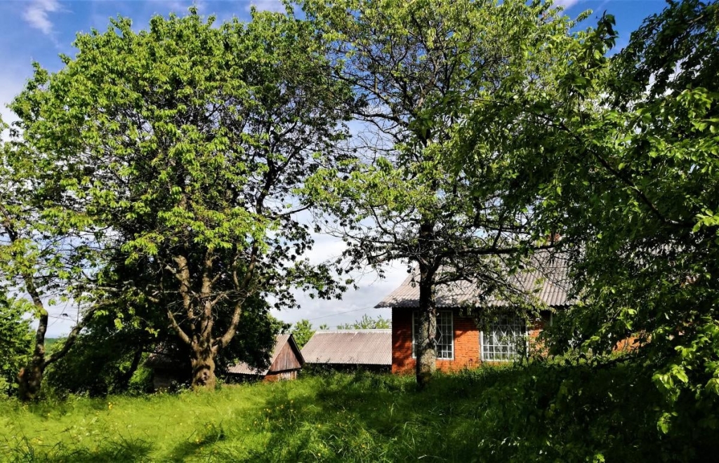 Львівщина для активних туристів: ідеї для піших походів у гори – Тустань, Східниця, Орів 121 На шляху нам зустрічалися лише поодинокі будиночки / фото Марина Григоренко