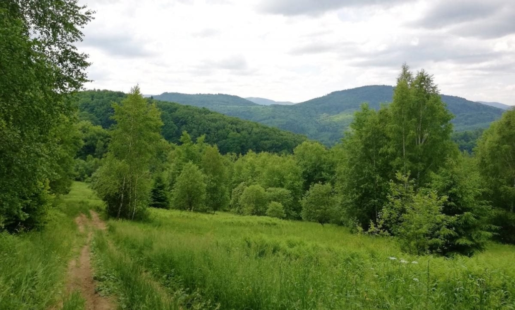 Львівщина для активних туристів: ідеї для піших походів у гори – Тустань, Східниця, Орів 53 Львівщина для активних туристів: ідеї для піших походів у гори – Тустань, Східниця, Орів