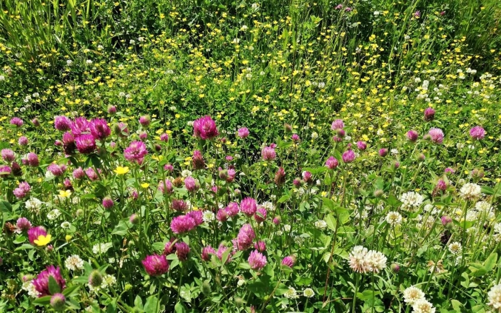 Львівщина для активних туристів: ідеї для піших походів у гори – Тустань, Східниця, Орів 44 Львівщина для активних туристів: ідеї для піших походів у гори – Тустань, Східниця, Орів