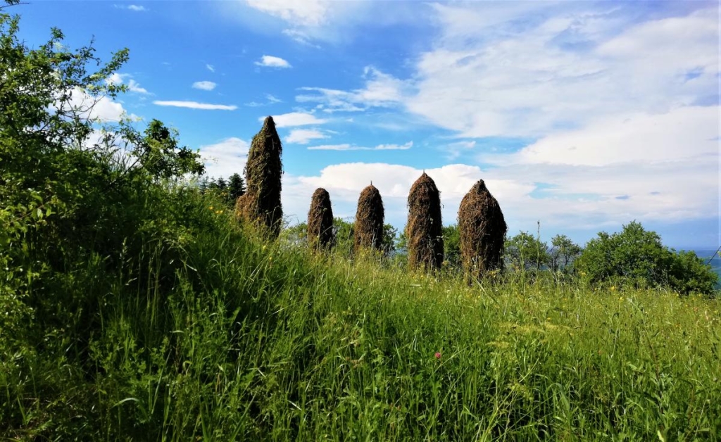Львівщина для активних туристів: ідеї для піших походів у гори – Тустань, Східниця, Орів 120 Непрохідні нетрі біля Зимівок / фото Марина Григоренко