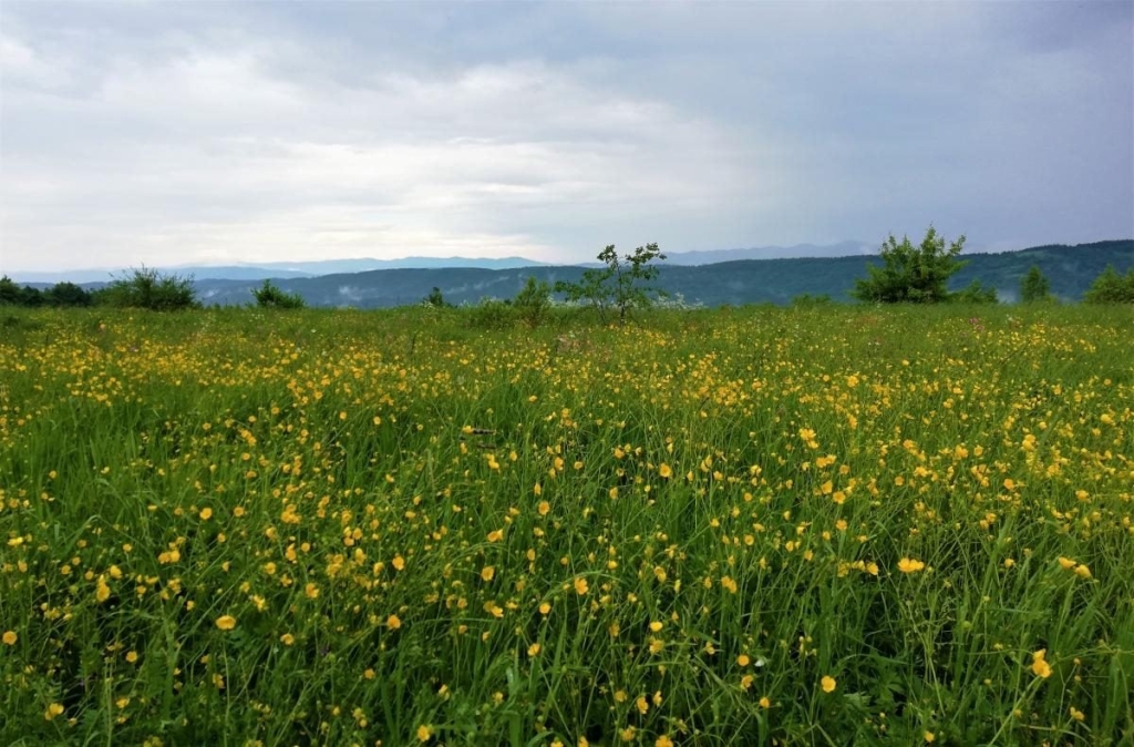 Львівщина для активних туристів: ідеї для піших походів у гори – Тустань, Східниця, Орів 79 Львівщина для активних туристів: ідеї для піших походів у гори – Тустань, Східниця, Орів