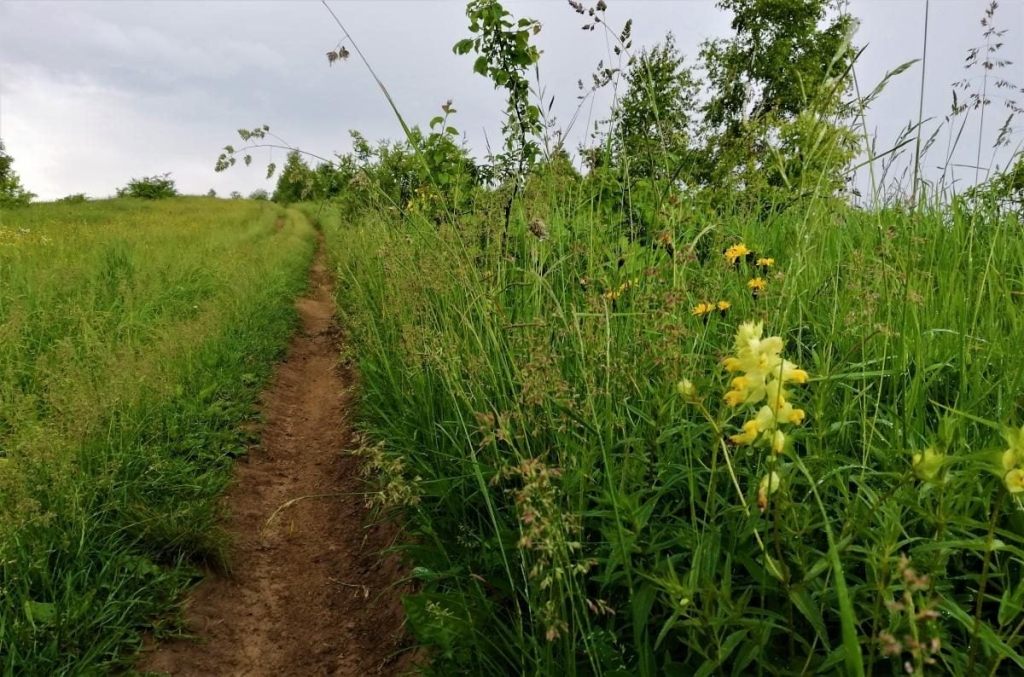 Львівщина для активних туристів: ідеї для піших походів у гори – Тустань, Східниця, Орів 113 Львівщина для активних туристів: ідеї для піших походів у гори – Тустань, Східниця, Орів