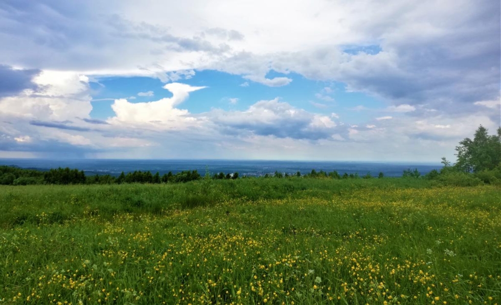Львівщина для активних туристів: ідеї для піших походів у гори – Тустань, Східниця, Орів 116 Краєвиди на Трускавець і Дрогобич / фото Марина Григоренко