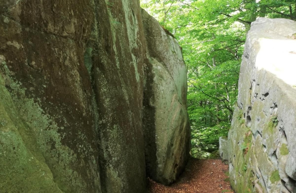 Львівщина для активних туристів: ідеї для піших походів у гори – Тустань, Східниця, Орів 59 Львівщина для активних туристів: ідеї для піших походів у гори – Тустань, Східниця, Орів