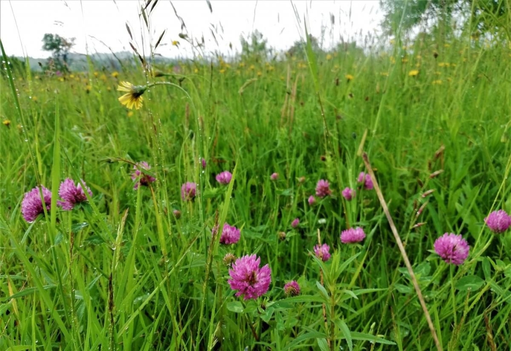 Львівщина для активних туристів: ідеї для піших походів у гори – Тустань, Східниця, Орів 103 Львівщина для активних туристів: ідеї для піших походів у гори – Тустань, Східниця, Орів