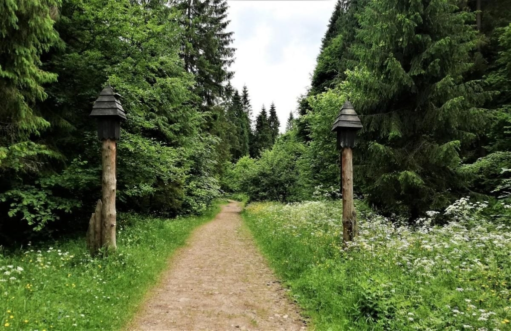 Львівщина для активних туристів: ідеї для піших походів у гори – Тустань, Східниця, Орів 64 Львівщина для активних туристів: ідеї для піших походів у гори – Тустань, Східниця, Орів