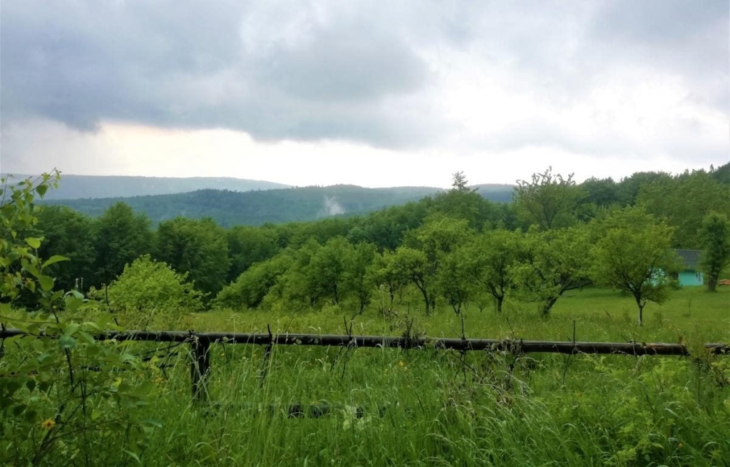 Львівщина для активних туристів: ідеї для піших походів у гори – Тустань, Східниця, Орів 73 Львівщина для активних туристів: ідеї для піших походів у гори – Тустань, Східниця, Орів