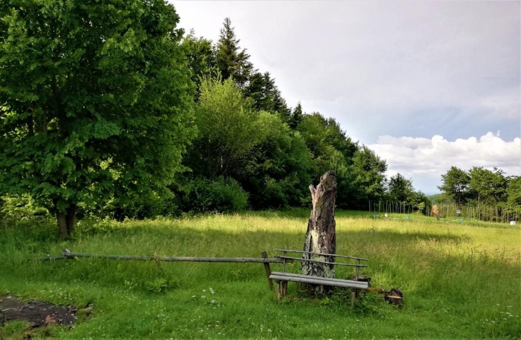 Львівщина для активних туристів: ідеї для піших походів у гори – Тустань, Східниця, Орів 96 Львівщина для активних туристів: ідеї для піших походів у гори – Тустань, Східниця, Орів