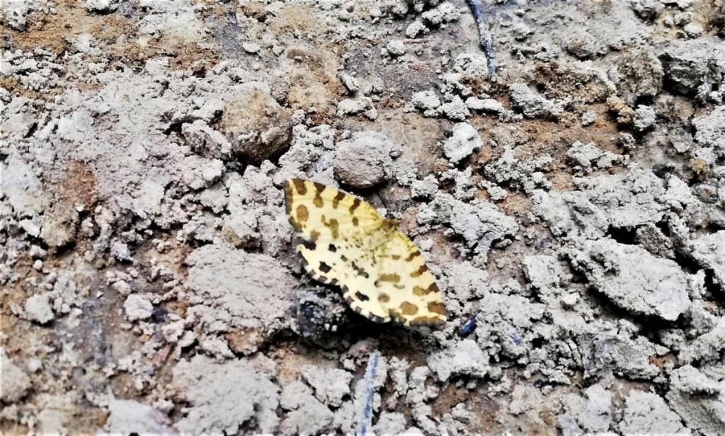 Львівщина для активних туристів: ідеї для піших походів у гори – Тустань, Східниця, Орів 51 Львівщина для активних туристів: ідеї для піших походів у гори – Тустань, Східниця, Орів