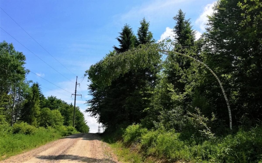 Львівщина для активних туристів: ідеї для піших походів у гори – Тустань, Східниця, Орів 45 Львівщина для активних туристів: ідеї для піших походів у гори – Тустань, Східниця, Орів