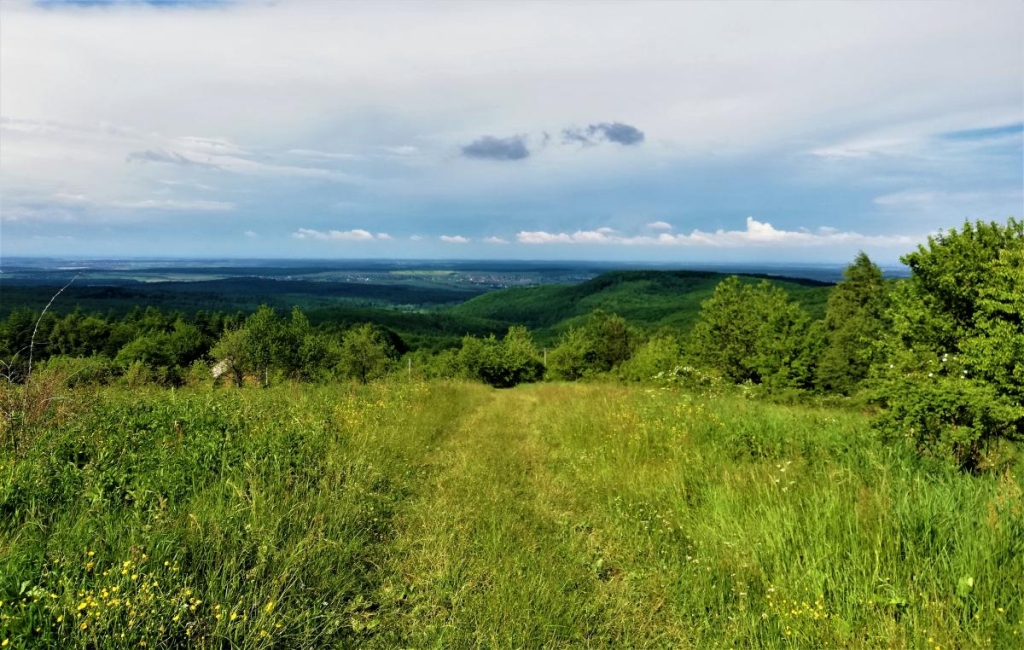 Львівщина для активних туристів: ідеї для піших походів у гори – Тустань, Східниця, Орів 119 Пейзажі Прикарпаття / фото Марина Григоренко