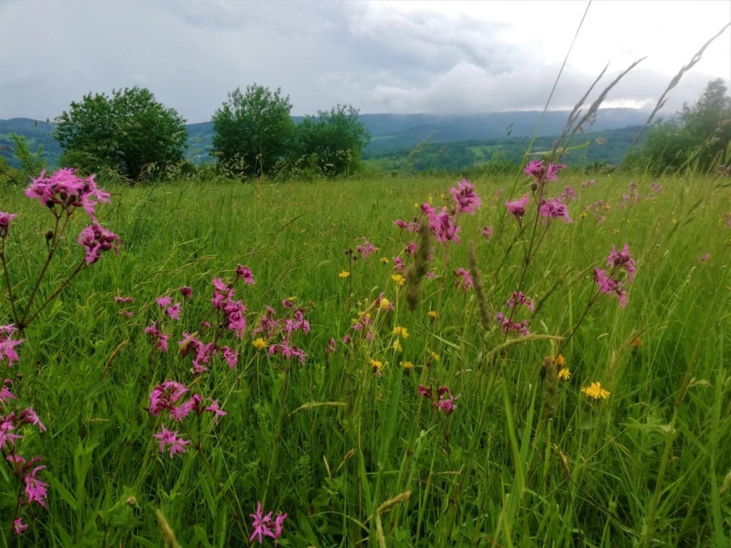 Львівщина для активних туристів: ідеї для піших походів у гори – Тустань, Східниця, Орів 101 Львівщина для активних туристів: ідеї для піших походів у гори – Тустань, Східниця, Орів